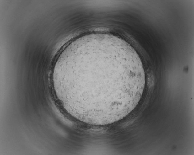 X0000115680725200912241440