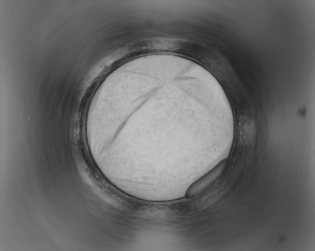 X0000115680726200912241440