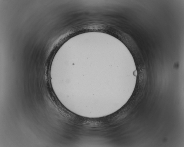 X0000115680727200912241440