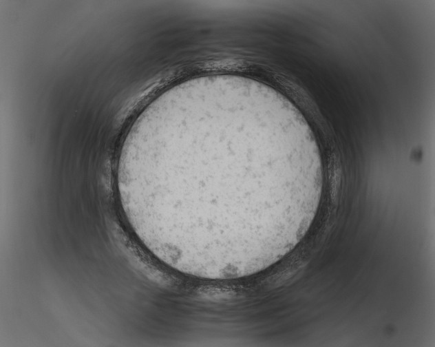 X0000115680729200912241440