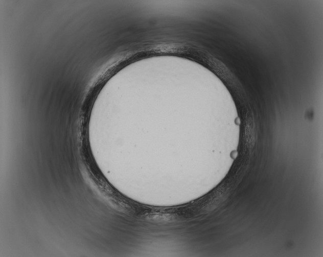 X0000115680730200912241440