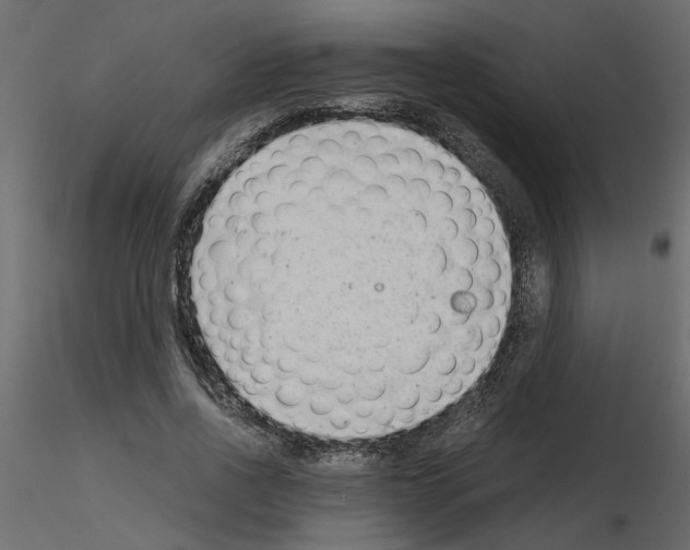 X0000115680734200912241440