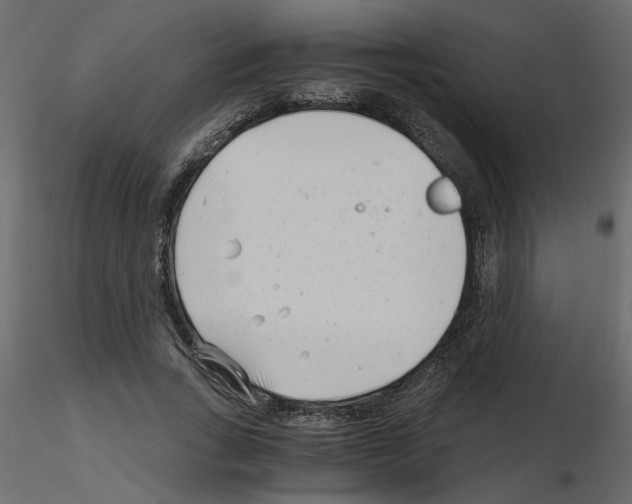 X0000115680735200912241440