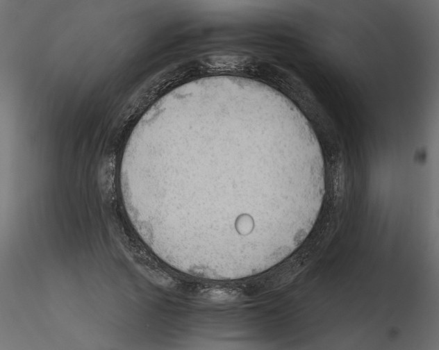 X0000115680737200912241440