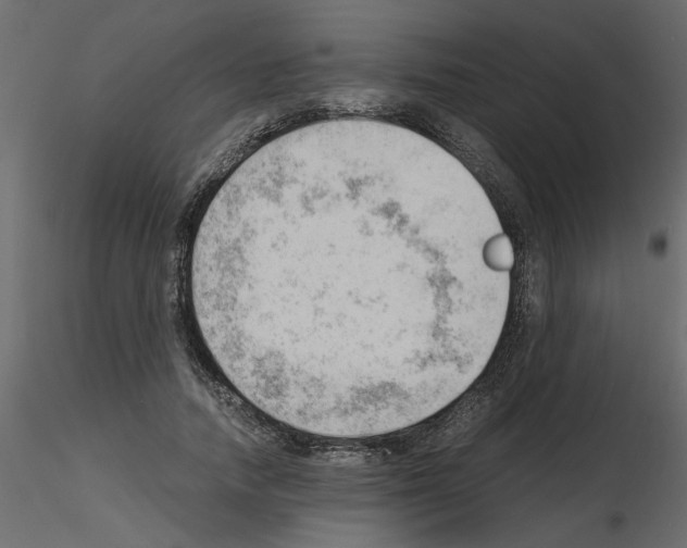 X0000115680738200912241440