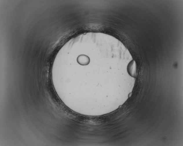 X0000115680739200912241440