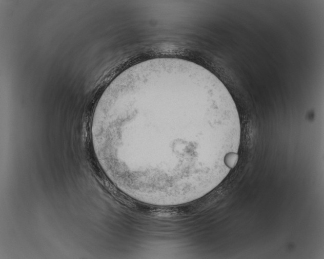 X0000115680746200912241440