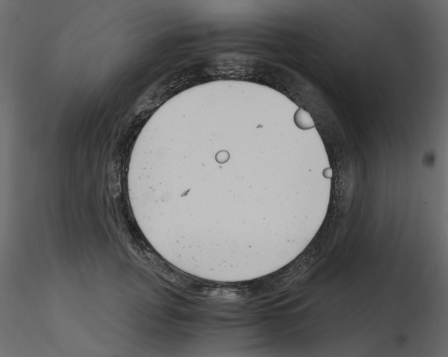 X0000115680751200912241440