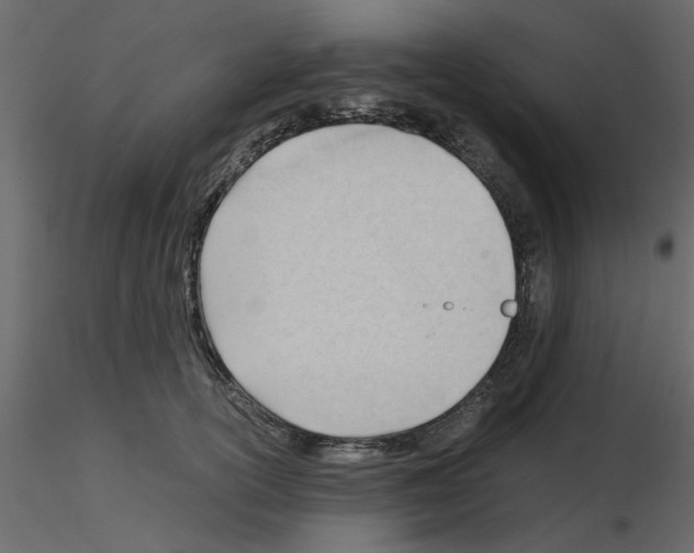 X0000115680754200912241440