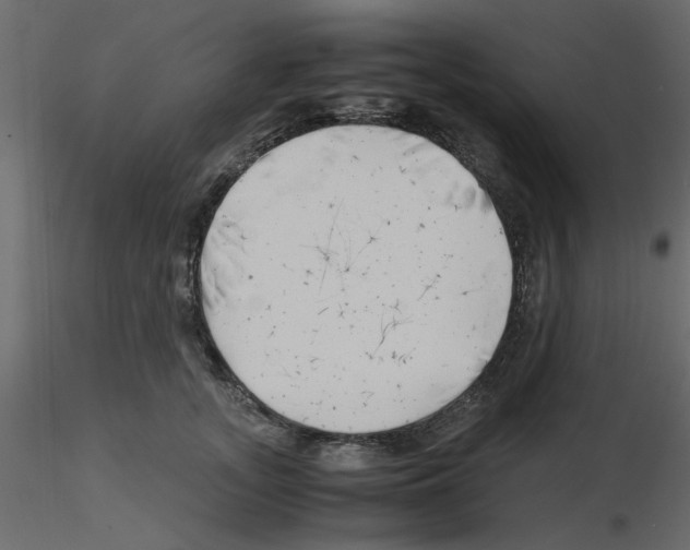 X0000115680755200912241440