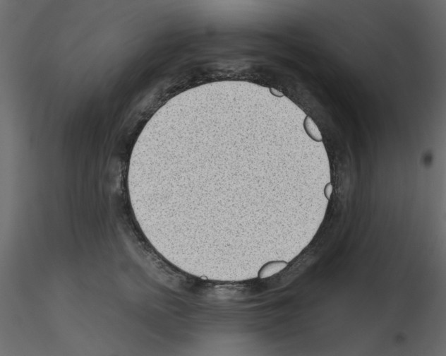 X0000115680758200912241440