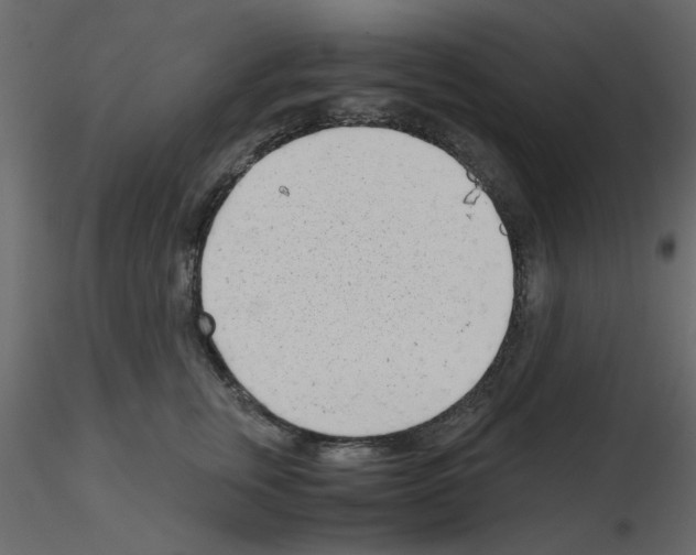 X0000115680759200912241440