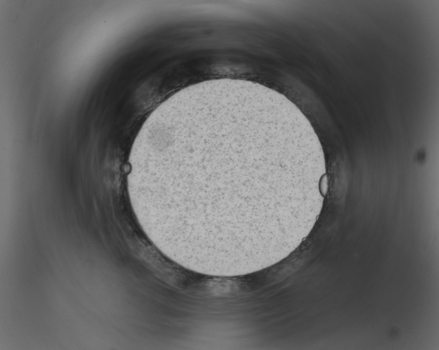 X0000115680762200912241440