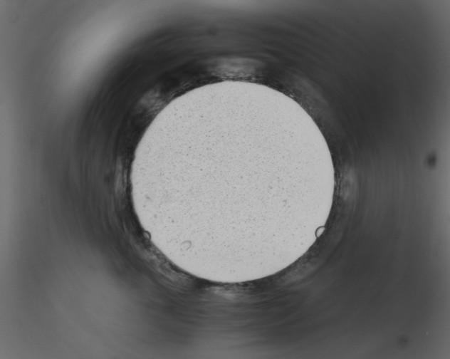 X0000115680763200912241440