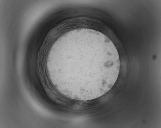X0000115680765200912241440