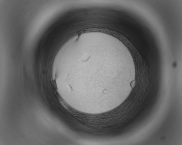 X0000115680766200912241440