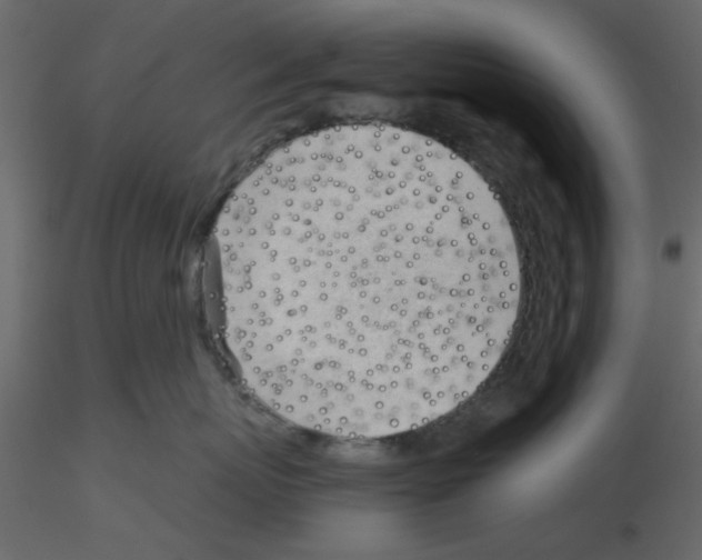 X0000115680767200912241440