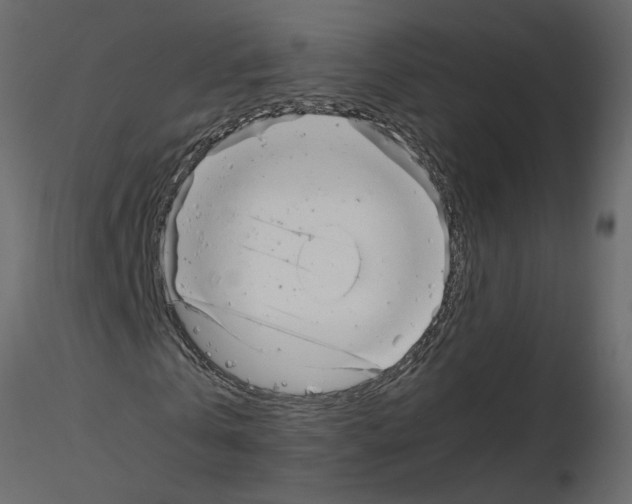 X0000115680769200912241440