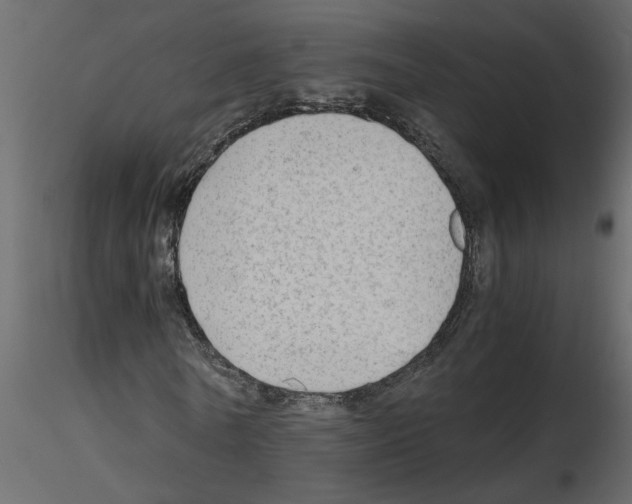 X0000115680770200912241440