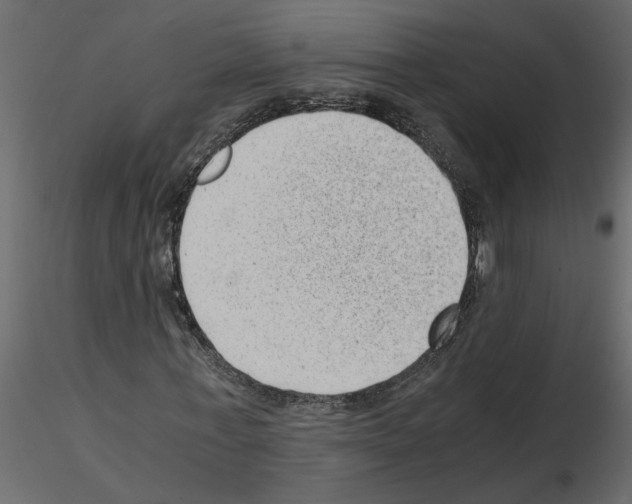 X0000115680771200912241440