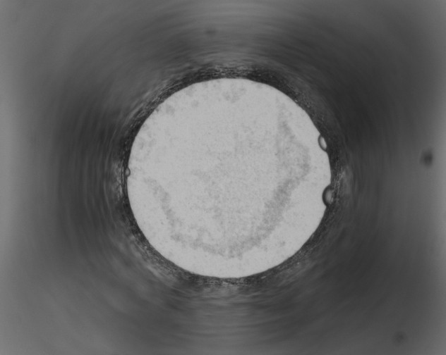 X0000115680772200912241440