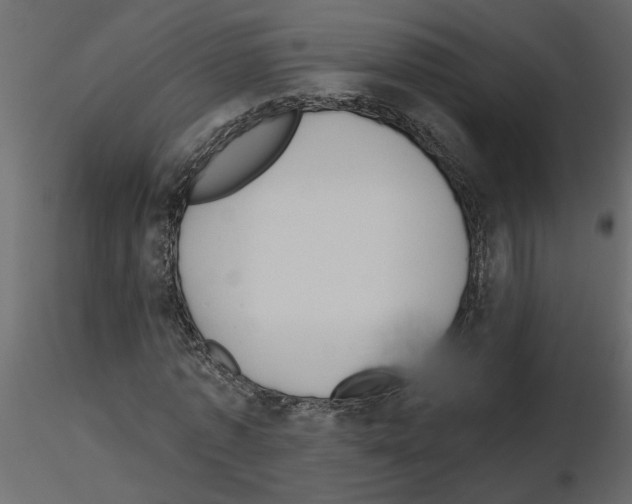 X0000115680773200912241440