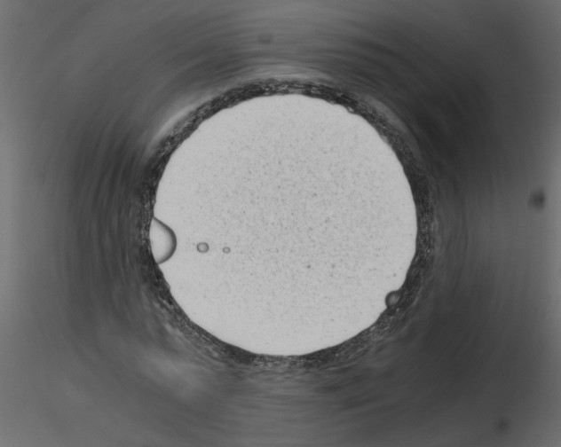 X0000115680775200912241440