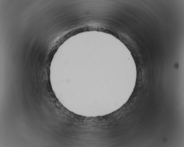 X0000115680776200912241440