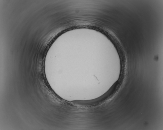 X0000115680777200912241440
