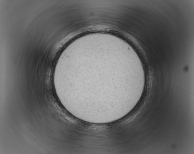 X0000115680778200912241440