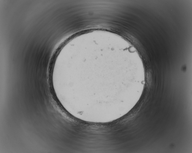 X0000115680780200912241440