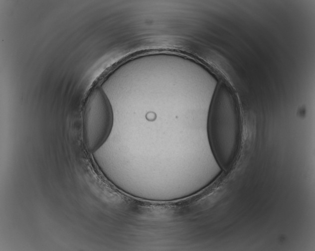 X0000115680781200912241440