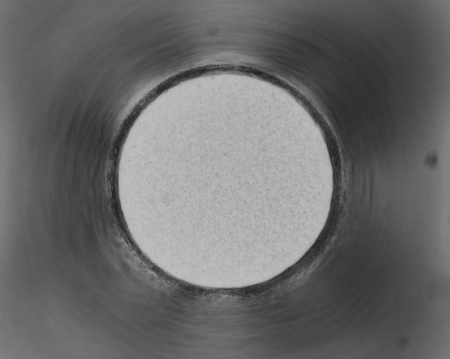 X0000115680783200912241440