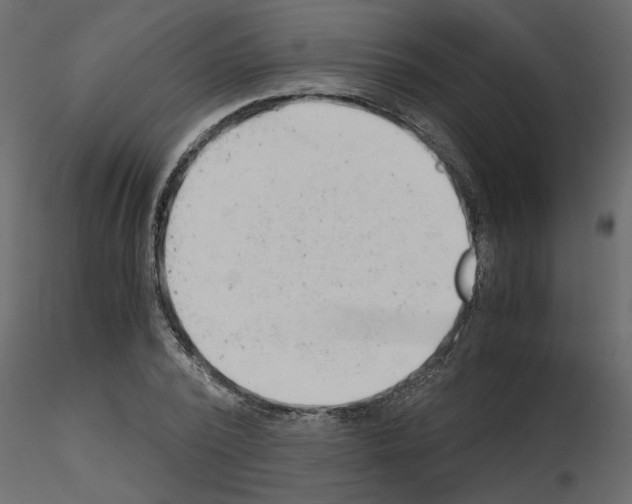 X0000115680784200912241440
