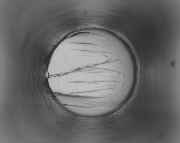 X0000115680785200912241440