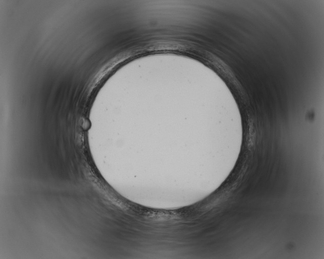 X0000115680786200912241440