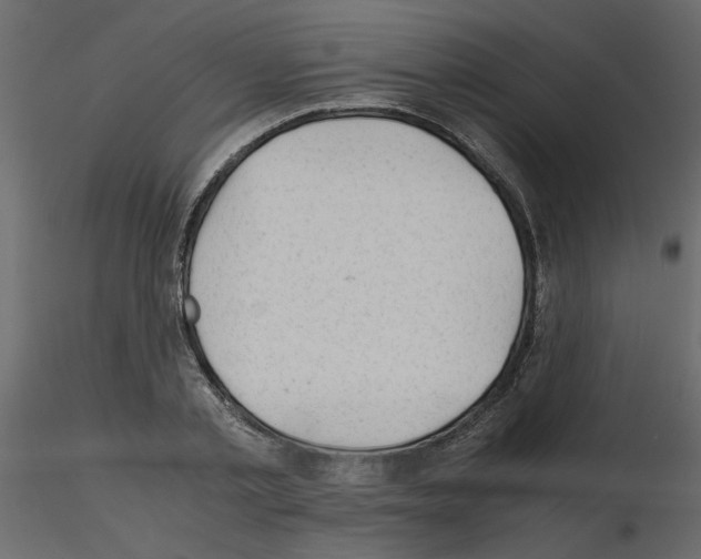 X0000115680789200912241439