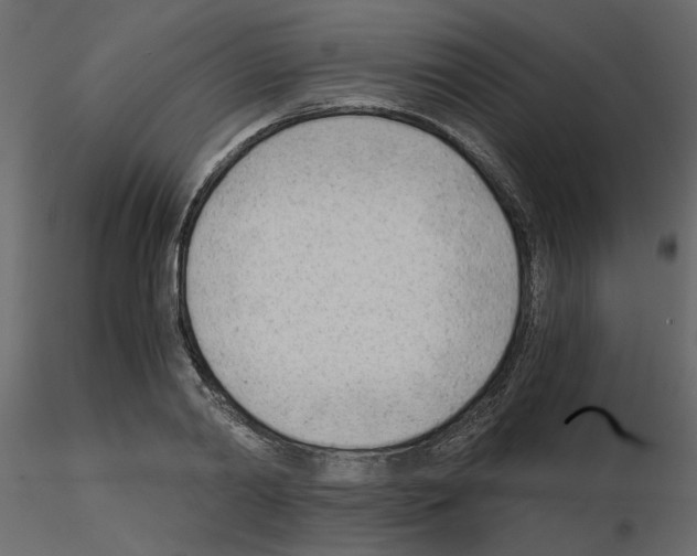 X0000115680790200912241439