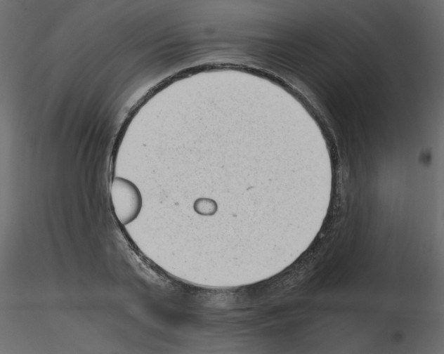X0000115680791200912241439