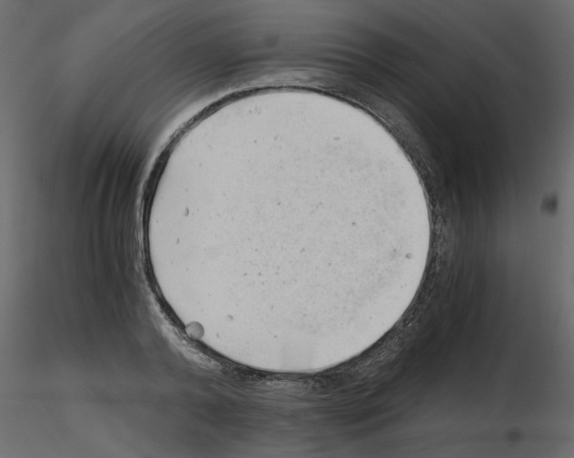 X0000115680792200912241439