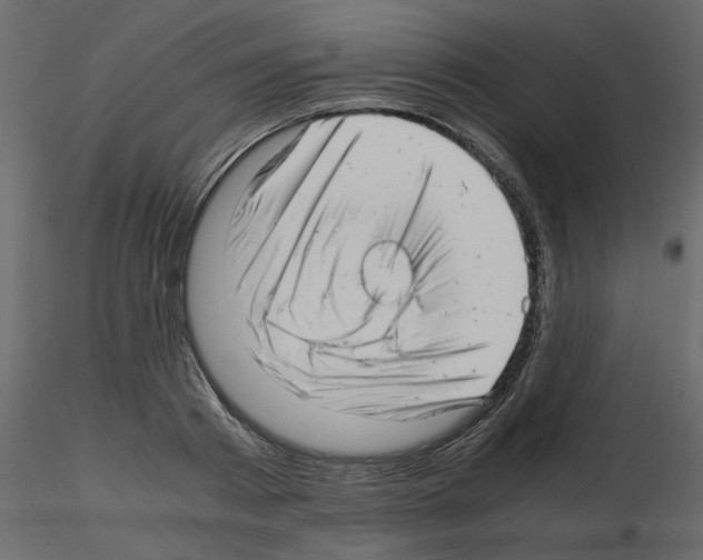X0000115680793200912241439