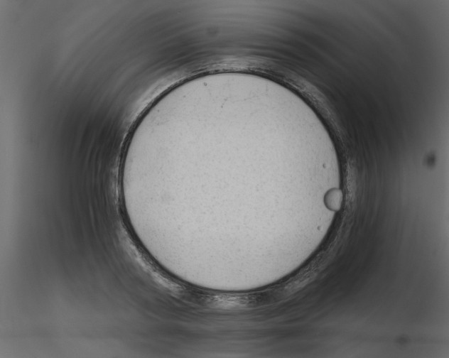 X0000115680794200912241439