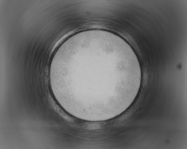 X0000115680798200912241439