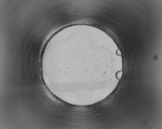 X0000115680800200912241439