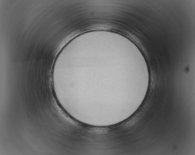 X0000115680802200912241439