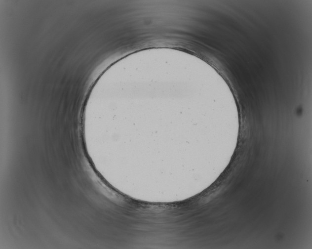 X0000115680803200912241439