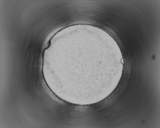 X0000115680804200912241439