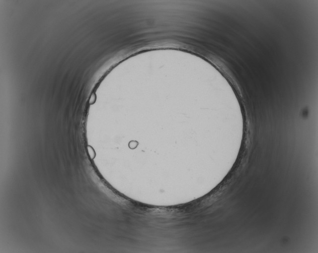 X0000115680805200912241439