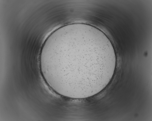 X0000115680806200912241439