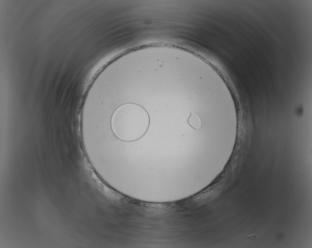 X0000115680807200912241439